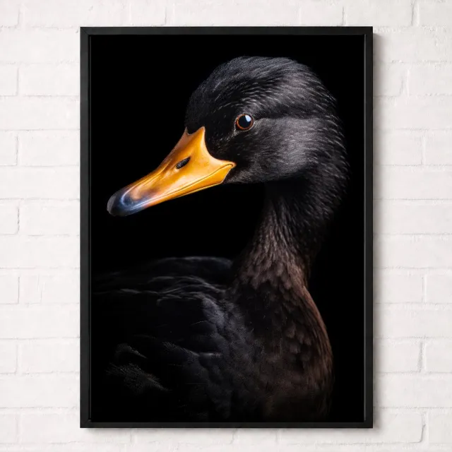 Kleurmedia Zwarte Eend Poster - Vogelportretten Collectie - Dieren Posters - A1+ 61 x 91,5 cm