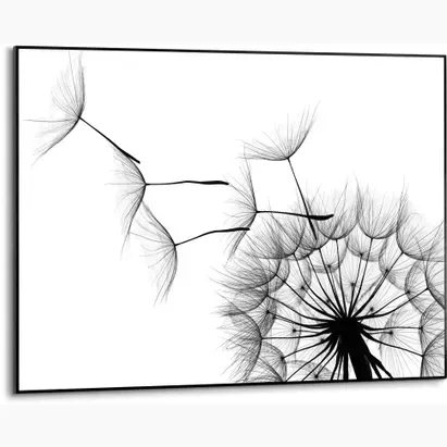 REINDERS Schilderij Paardenbloem Zwart-wit 70x50cm