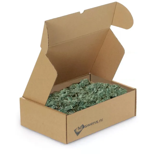 Moswens decoratie mos - Rendiermos - 400 gram - Doos M - 0,10 m² - Pine - Ijslands mos voor moswand of mosschilderij Groen