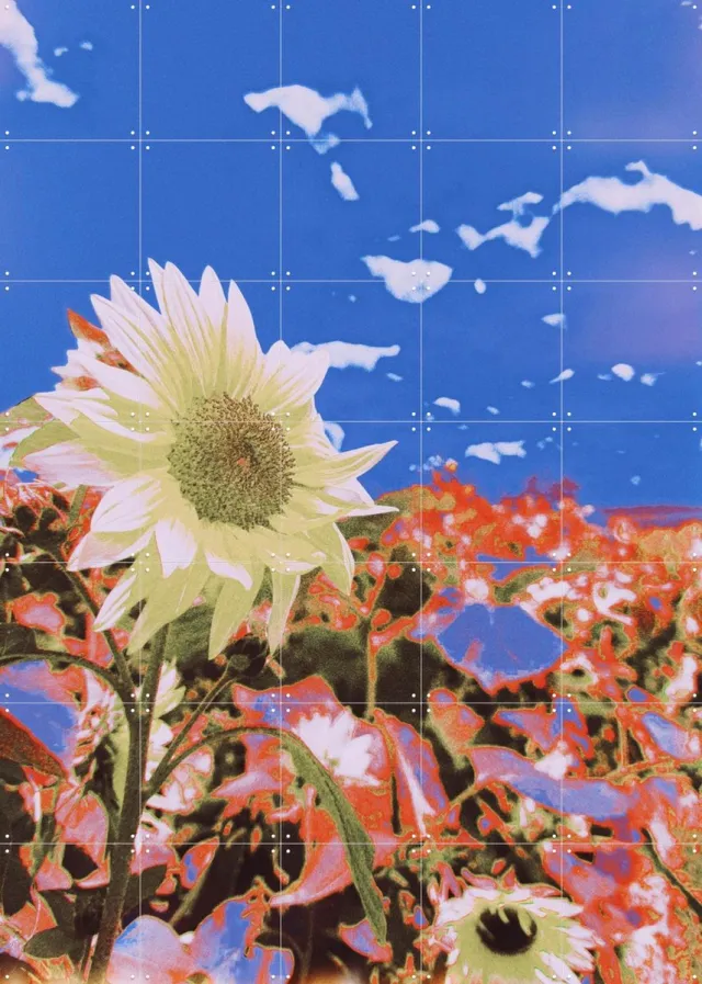IXXI In the Breeze, Amber Lauder - 100 x 140 cm - Grote wanddecoratie en posters - Gemengde Technieken, Woonkamer, Gang, Trap, Zonnebloemen Blauw