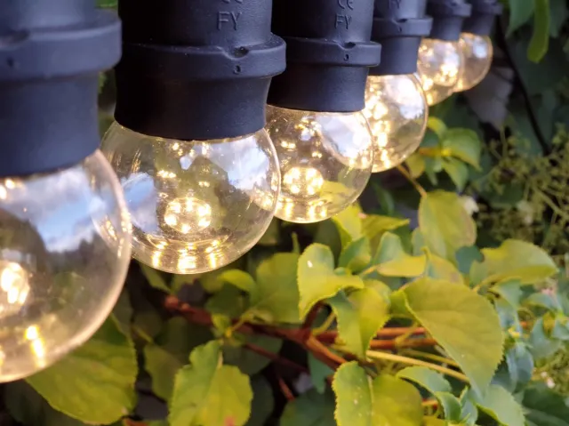 Happy Lights HappyLights lichtsnoer buiten [Outdoor] Clear - 50 LED's - 25m
