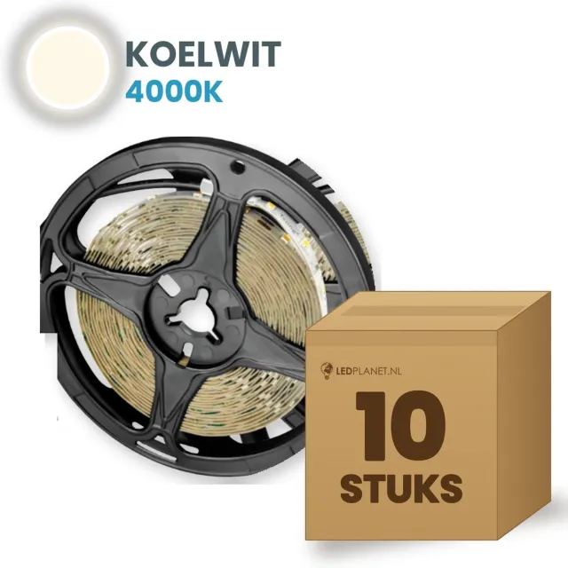 Tsong LED strip SMD2835 5 meter - 10 stuks - 12V - 9,6W/m - Koelwit 4000K - 960 lm/m - 120 LEDs/m - CRI>80 - IP65