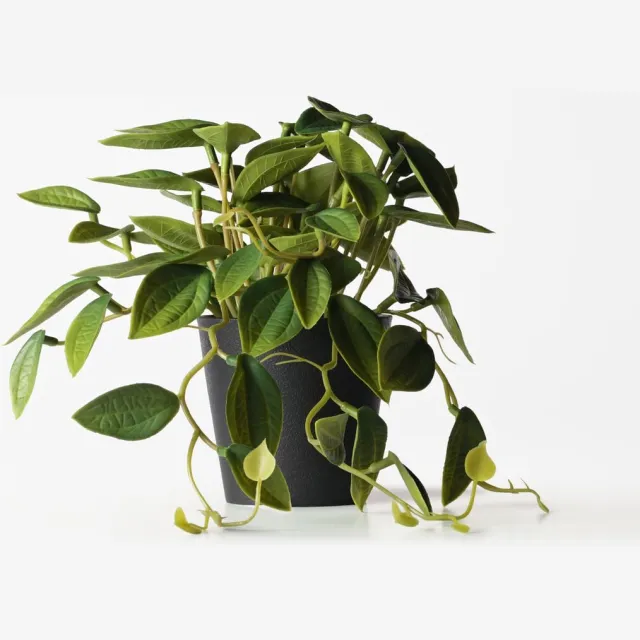 HEMA Kunstplant philodendron 55cm (groen)