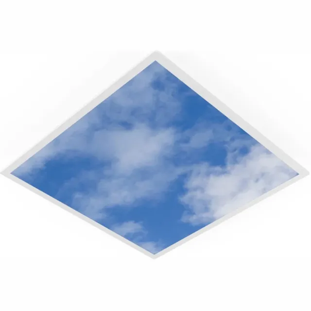 Ledvance LED Paneel 60X60CM | 33W 3630lm 8 | IP40 DALI Dimbaar Wit