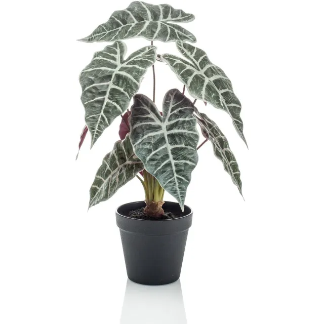 Emerald Kunstplant in pot Alocasia 40cm - Kunstplant voor binnen Groen