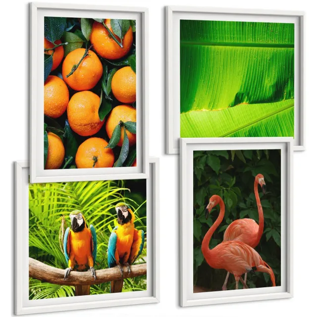 Coloray 4-Delige Schilderij Set - Fruitige Accenten Met Papegaaien En Flamingo'S In De Tropen - 40 x 40 En 40 x 60 - Muurdecoratie - Wanddecoratie - Slaapkamer Witte lijst