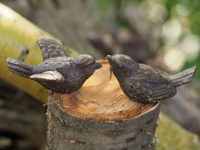 GerichteKeuze Beeldjes decoratie vogeltjes echt brons – 2 bronzen musjes voor binnen en buiten | GerichteKeuze