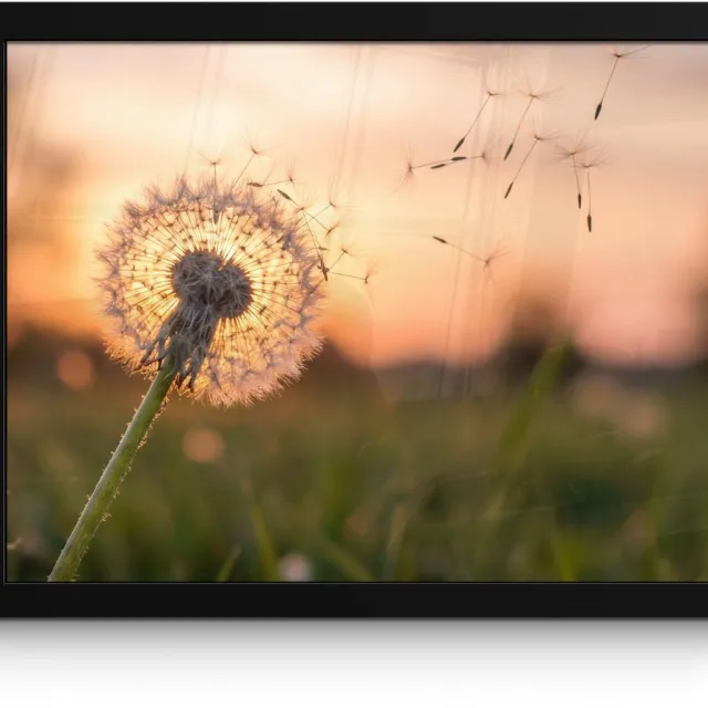 FrameYourWall Poster in lijst - Fotolijst 40x30 cm - Posters - Paardenbloem - Zonsondergang - Veld - Posterlijst zwart - Decoratie - Wanddecoratie woonkamer - Muurdecoratie slaapkamer