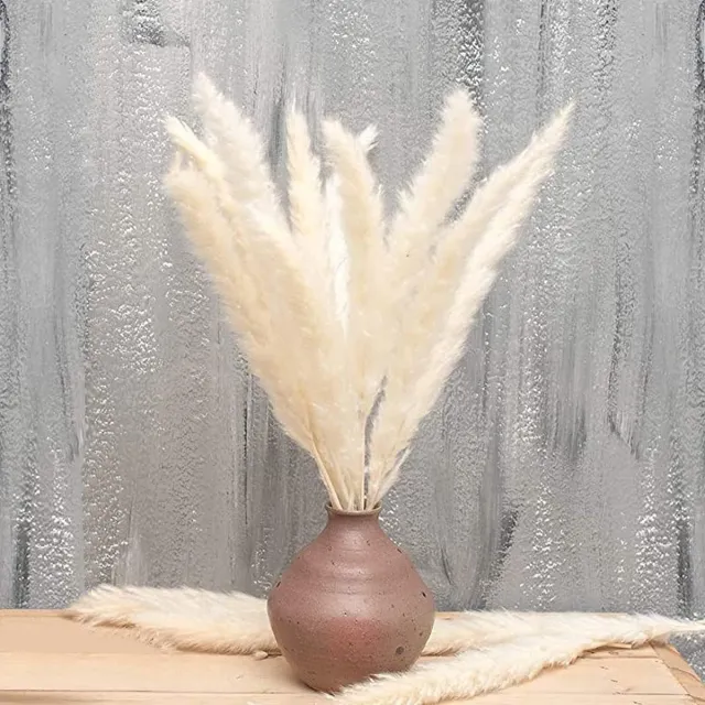 meerklose 30Pcs Natuurlijke Gedroogde Pampas Gras, 43 CM Gedroogde Bloem Riet Boeket, Boho Decoratie voor Thuis Woonkamer Slaapkamer Keuken Bruiloft Arrangement DIY Party Kantoor Vaas Tafel Fotograp Decor (Wit)