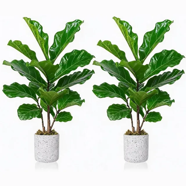Danky decoratieve kunstficus lyrata set 2 stuks 40 cm PEVA - groene tafelplant inclusief marmerlook pot