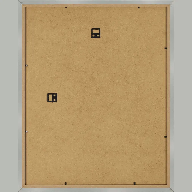 Dutch Frame Factory Fotolijst 55x65 cm - MDF - Aluminium Geborsteld - Benno