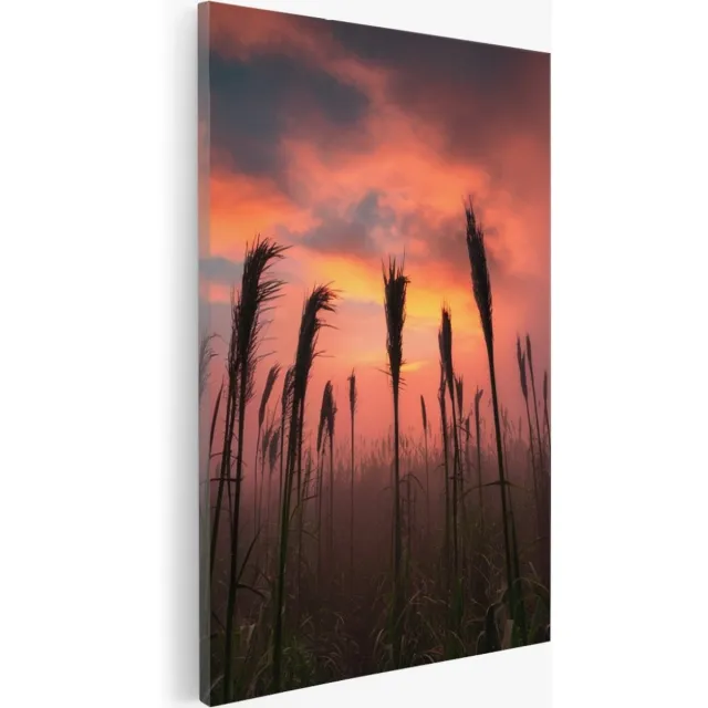Saammp Canvas Schilderij - Graan tijdens zonsondergang - Natuur - Landschap - 75x100 - Foto op canvas - Wanddecoratie - Muurdecoratie Woonkamer - Slaapkamer decoratie - Canvas Print Multicolor