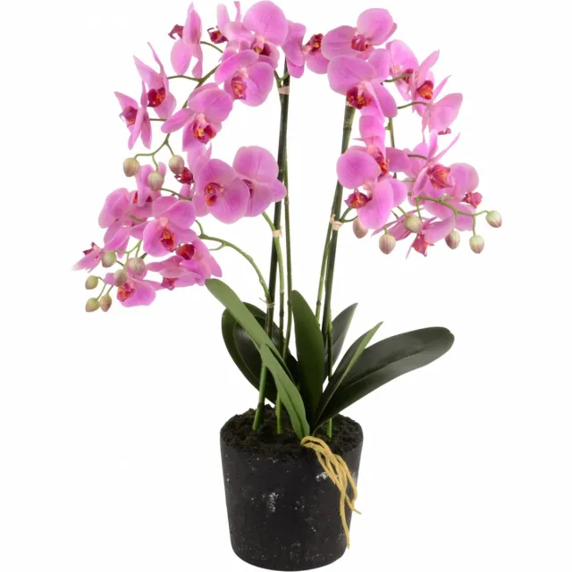 Budgetland Kunstplant orchidee roze - 5 tak h68.5cm