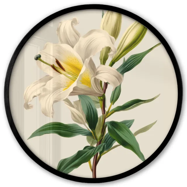 FrameYourWall Poster in lijst Rond - Fotolijst 40x40 cm - Posters - Lelie - Elegant - Botanisch - Beige - Ronde posterlijst zwart - Decoratie - Wanddecoratie woonkamer - Muurdecoratie slaapkamer