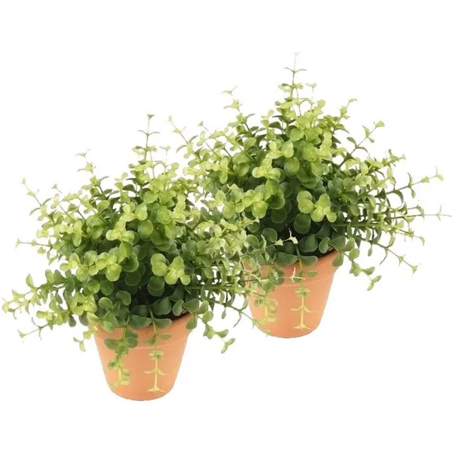 Bellatio Flowers & Plants 2x Kunstplant eucalyptus groen in pot 20 cm - Kamerplant groene eucalyptus