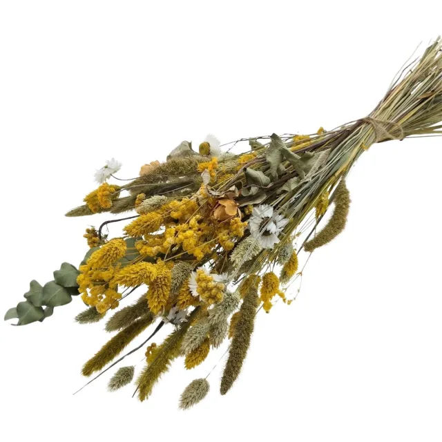 Myflowers b.v. Droogbloemen boeket Cute Yellow - Geel - 55cm - Dried Flowers