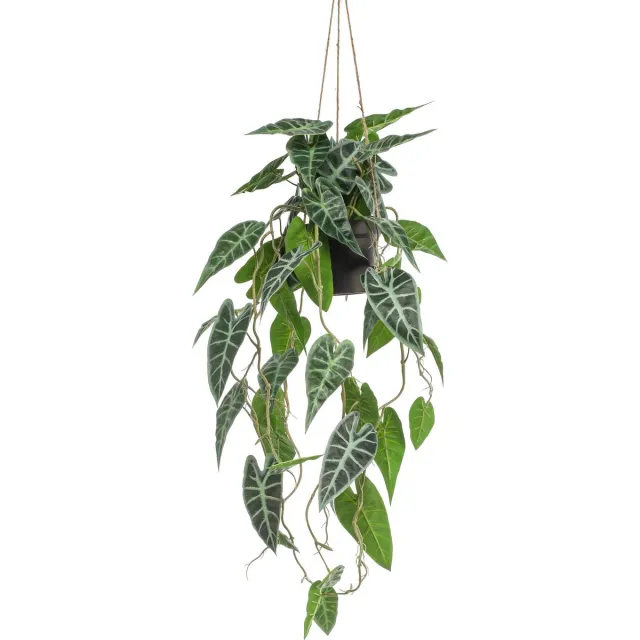 Emerald Kunst Hangplant in pot Alocasia 80cm - Kunstplant voor binnen Groen