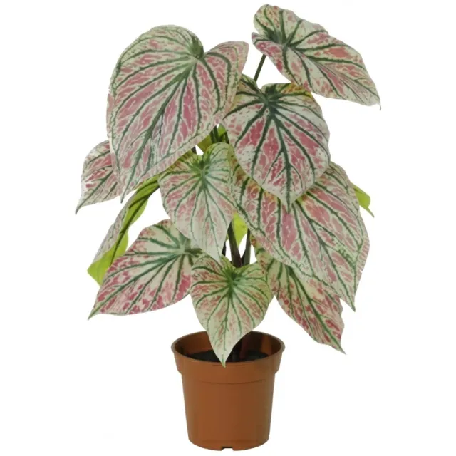 Florafy Kunstplant Caladium Groen Roze 57cm - Kunstplanten voor binnen - Onderhoudsvrij