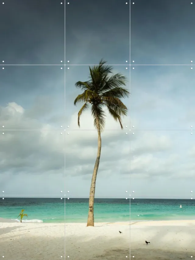 IXXI Whispering Palm Above The Caribbean Silence, Claire Droppert - 60 x 80 cm - Grote wanddecoratie en posters - Fotografie, Realisme, Naturalisme Blauw / Wit / Groen