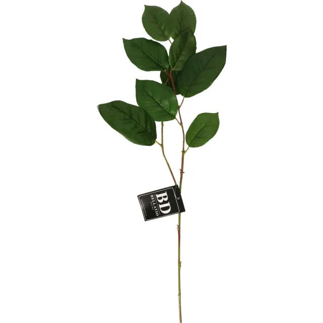 Bellatio Design Kunstbloem bladgroen tak Salal/Appeltjesblad - 77 cm - boeket opvulling - groen