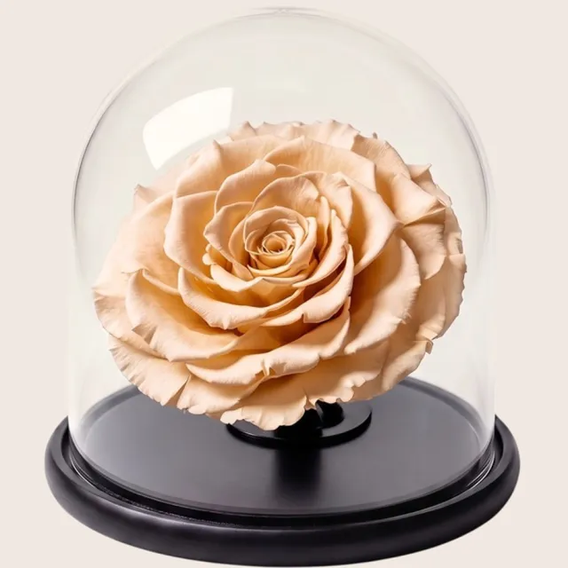 RoseAmor Mini Longlife Roos onder Glazen Stolp 13,5 cm – Echte Houdbare Roos – Goud – Cadeau voor Haar