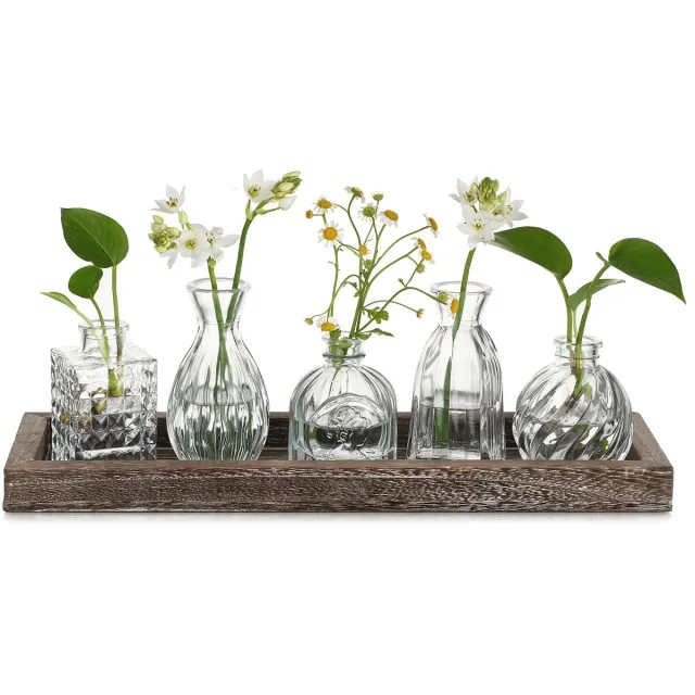 Famanu Glazen knopvazen voor bloemen, 5 stuks vintage kleine vazen voor tafeldecoratie met houten dienblad. wit