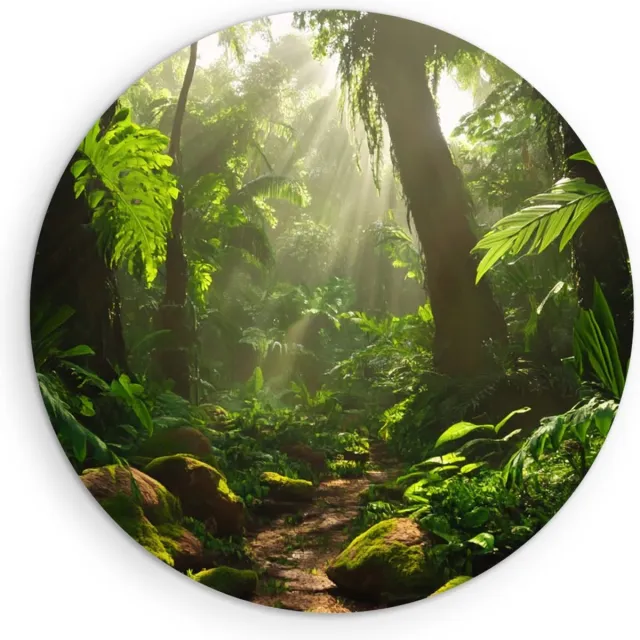 Saammp Forex Muurcirkel - Natuur - Jungle met zon - landschap - Ø 80 - Wandcirkel - Wanddecoratie Cirkel - Muurdecoratie Woonkamer - Slaapkamer decoratie - Rond Schilderij