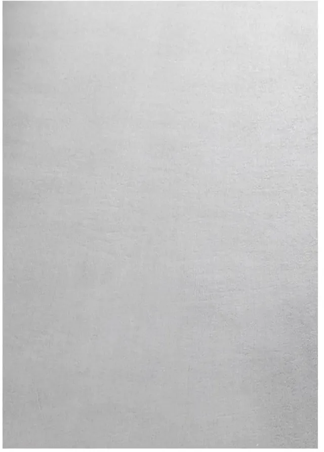 Dutch XXL Wasbaar Vloerkleed | Tapijt | Sky | Uni | Zilver | 120x170 cm