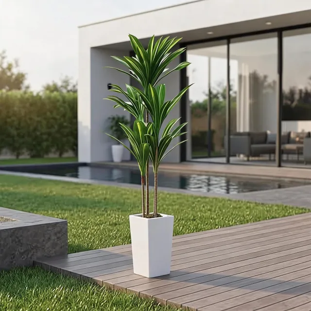 Danky Premium 4.8FT Braziliaanse Boom - Dracaena Fragrans Met Stabiele Cementbasis groen