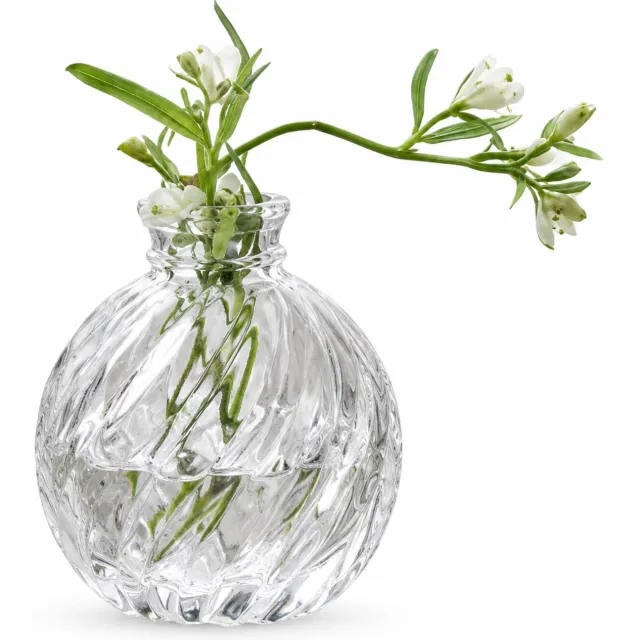 SWGOTA Retro glazen vaasje met reliëf en smalle hals - Voor kunstbloemen en interieurdecoratie - In kartonnen doos Transparant