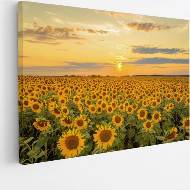 Saammp Canvas Schilderij - Zonnebloemenveld - Landschap - Natuur - 100x75 - Foto op canvas - Wanddecoratie - Muurdecoratie Woonkamer - Slaapkamer decoratie - Canvas Print Multicolor