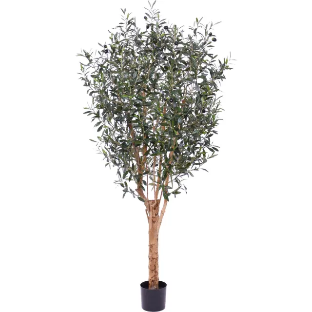 maxifleur Kunstplanten Olijf Deluxe kunstboom 180cm Groen