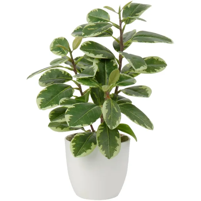 Famanu Kunstplanten in pot van 28 cm voor woondecoratie, camellia bloemstukken, ideaal voor thuis en kantoor Zwart