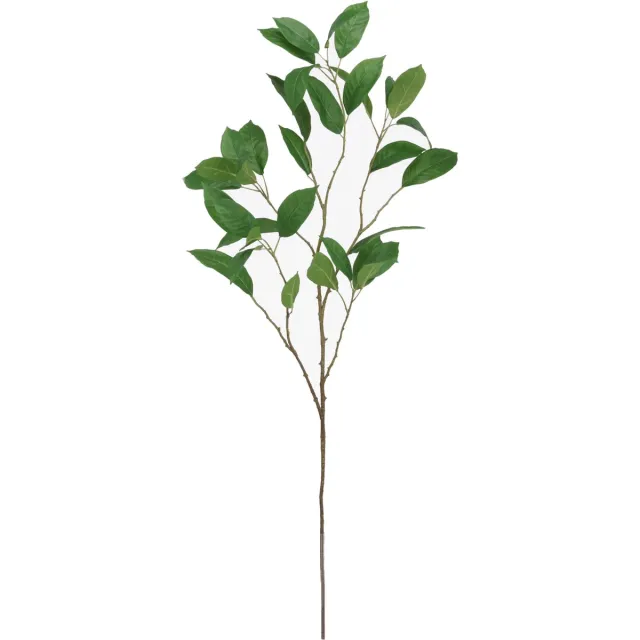 maxifleur Kunstplanten Magnolia Kunst Bladtak 115cm groen