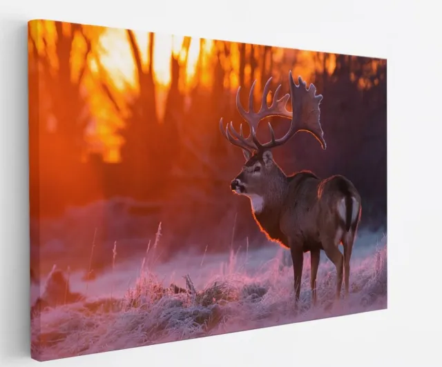 Saammp Canvas Schilderij - Hert - Portret - Winter - Natuur - Dieren - 120x80 - Foto op canvas - Wanddecoratie - Muurdecoratie Woonkamer - Slaapkamer decoratie - Canvas Print Multicolor