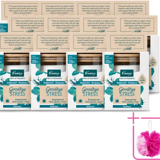 Kneipp 12 x Kneipp - Geurkaars - Goodbye Stress - Watermunt & Rozemarijn - 20 branduren - Bulkverpakking - Geurkaars - Douchemop - Ontspanning Wit