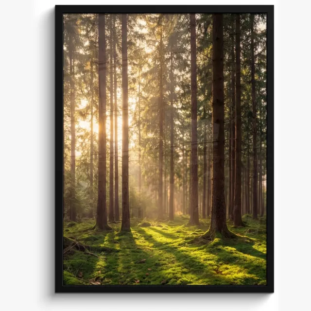 FrameYourWall Poster in lijst - Fotolijst 50x70 cm - Posters - Bos - Gras - Zonlicht - Posterlijst zwart - Decoratie - Wanddecoratie woonkamer - Muurdecoratie slaapkamer