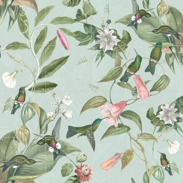 IXXI Birds & Passiflora paradise garden - soft teal, Bloomery Decor - 80 x 80 cm - Grote wanddecoratie en posters - Naturalisme, Illustraties Groen