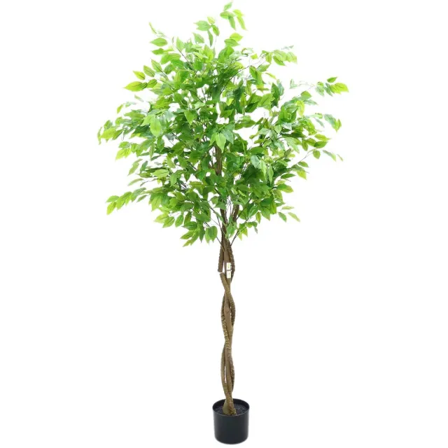 MOLHAUS Kunstplant Ficus 160 cm – Kunstboom in pot – Binnen - Buiten - Levensecht – Groen - Plantenbak - voor Thuis en Kantoor