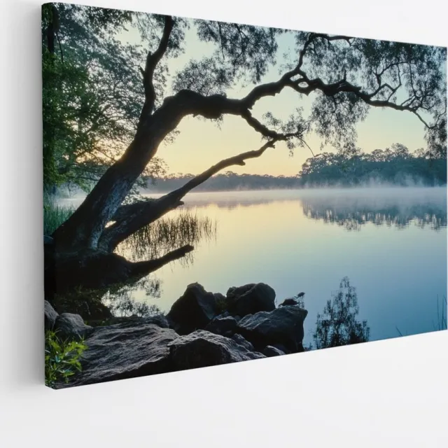 Saammp Canvas Schilderij - Natuur - Scheve boom bij het water - landschap - 70x50 - Foto op canvas - Wanddecoratie - Muurdecoratie Woonkamer - Slaapkamer decoratie - Canvas Print Multicolor