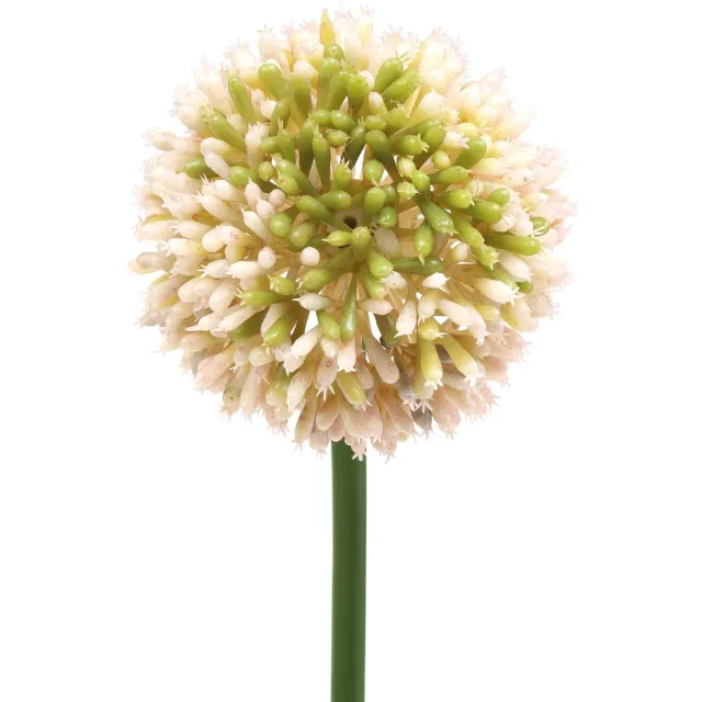 Viana Sier allium kunstroze / groen Ø8cm 58cm Veelkleurig