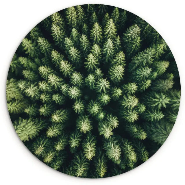 WallCircle Wandcirkel 30x30 cm - Muurcirkel Bomen - Naaldwoud - Structuur - Muurdecoratie woonkamer - Wanddecoratie slaapkamer - Kamer decoratie accessoires - Ronde schilderijen