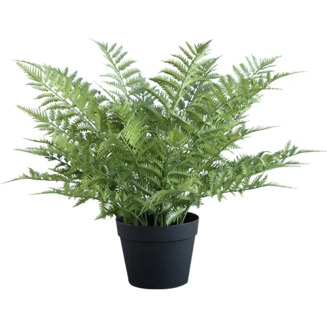 PTMD Fern Plant Green Fern In Black Pot