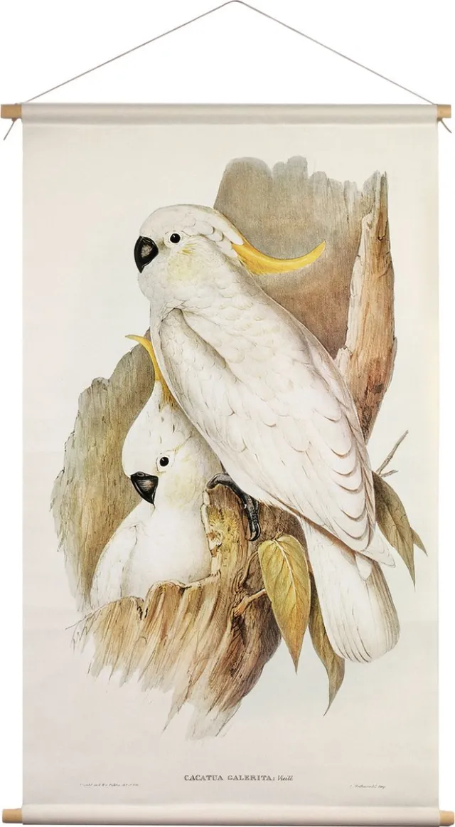 Wanderschoon Wanddoek kuifkaketoe 65x45cm - textielposter met leren koord - dieren Meerkleurig
