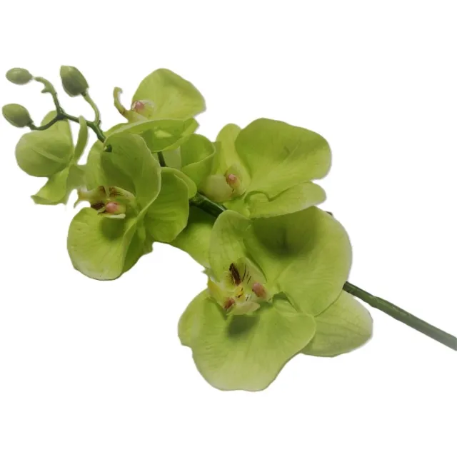House615 Maison Pederrey - Kunstbloem - groen - D5 x H67 cm lime groen