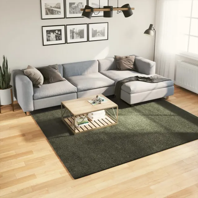 vidaXL Vloerkleed HUARTE Green 240 x 240 cm 100% Polyester Plat, foto 2