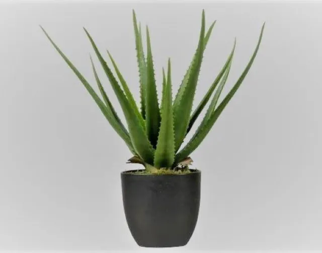 Decoris Kunstplant- Agave- 33 cm groen