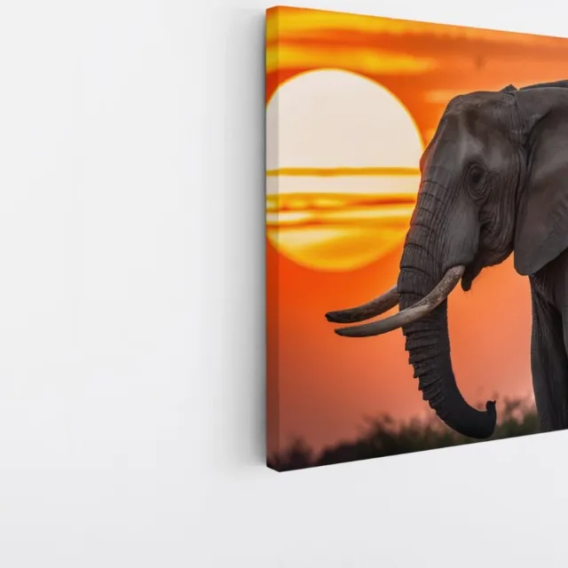 Saammp Canvas Schilderij - Olifanten met afrikaanse zonsondergang - Dieren - 30x30 - Foto op canvas - Wanddecoratie - muurdecoratie Woonkamer - Slaapkamer decoratie - Canvas Print Multicolor