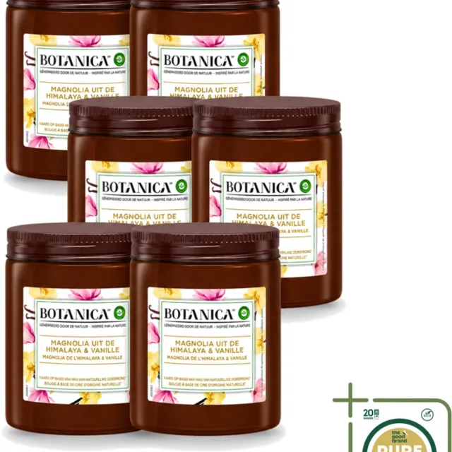 Air Wick 6 x Botanica by Air Wick - Geurkaars - Vanille & Magnolia - 40 Uur Brandduur - Wasstrips - Geurkaars - Vanille En Magnolia - Natuurlijke Geur - Luxe Geur - Ontspanning Bruin