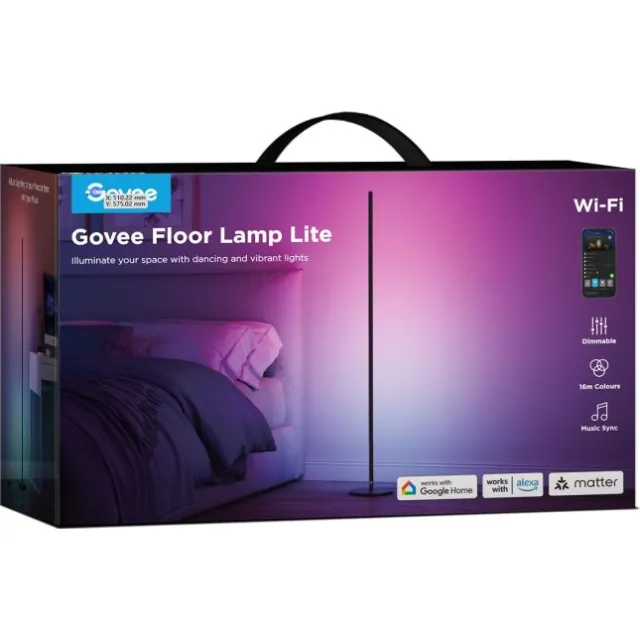 Govee Floor Lamp lite Zwart